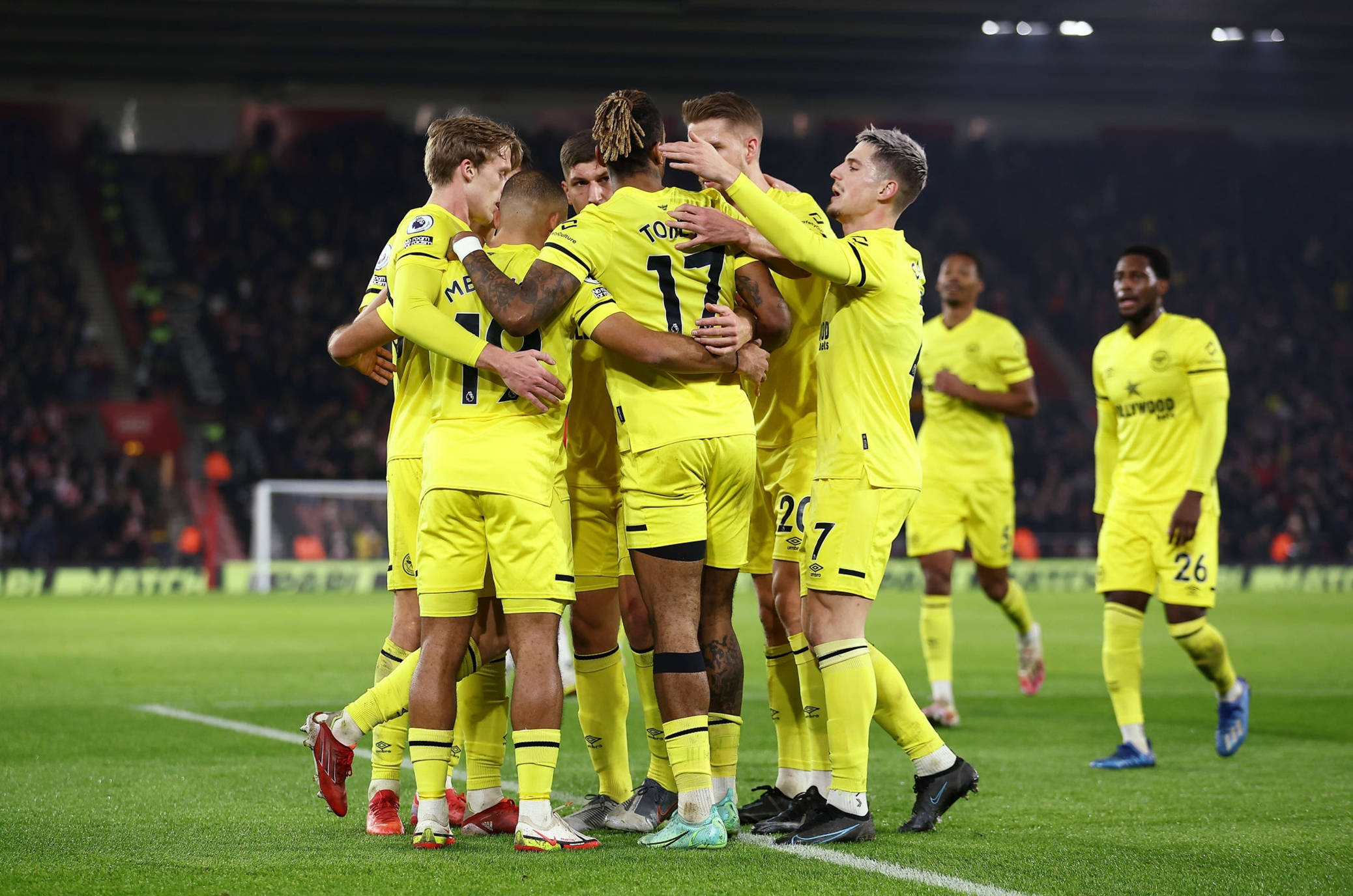 种下篮球的 种下篮球的